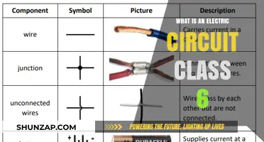 Understanding Electric Circuits for Beginners