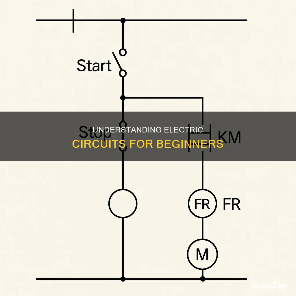 what is an electric circuit class 6