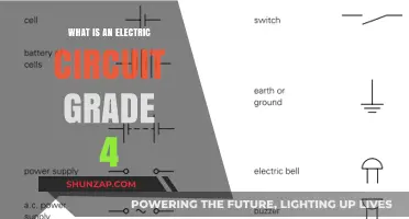 Electric Circuits: How Do They Work?