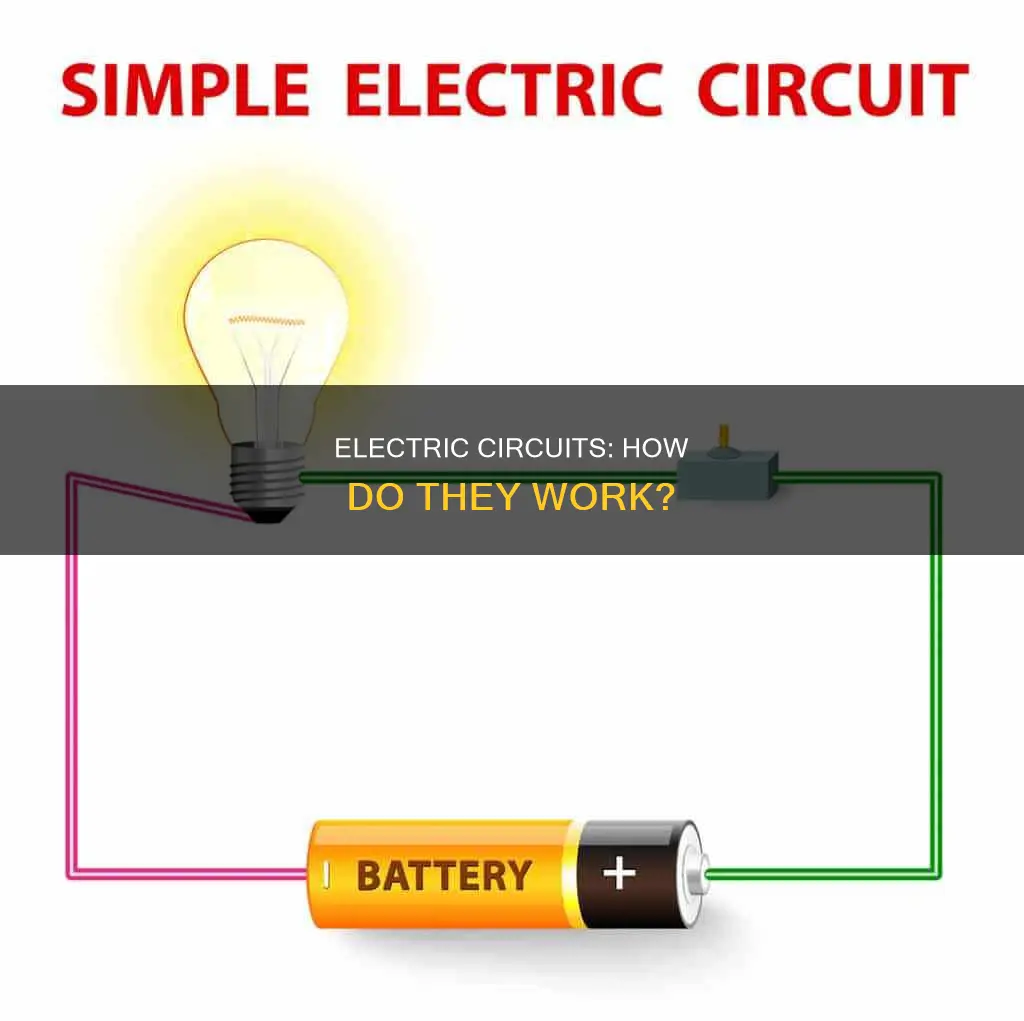 what is an electric circuit grade 4