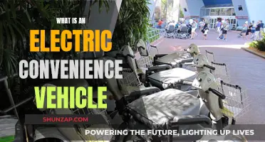 Electric Convenience Vehicles: Transforming Urban Mobility