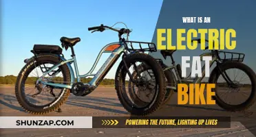 Fat Bike Revolution: Electric Power, Endless Adventure