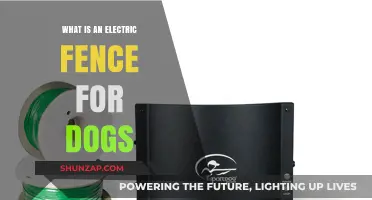 Electric Fences: Safe and Effective Dog Training and Containment