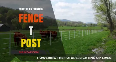 Electric Fence T-Posts: Installation and Benefits