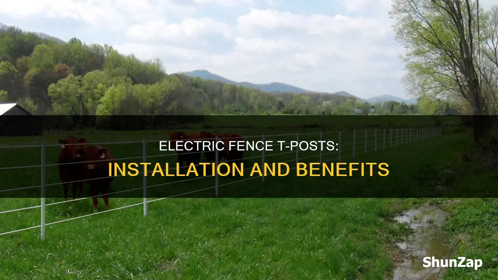 what is an electric fence t post