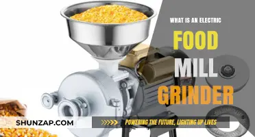Electric Food Mill Grinder: Freshly Ground Spices at Home