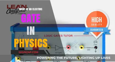 Electric Gates: Understanding Physics' Charged Particles