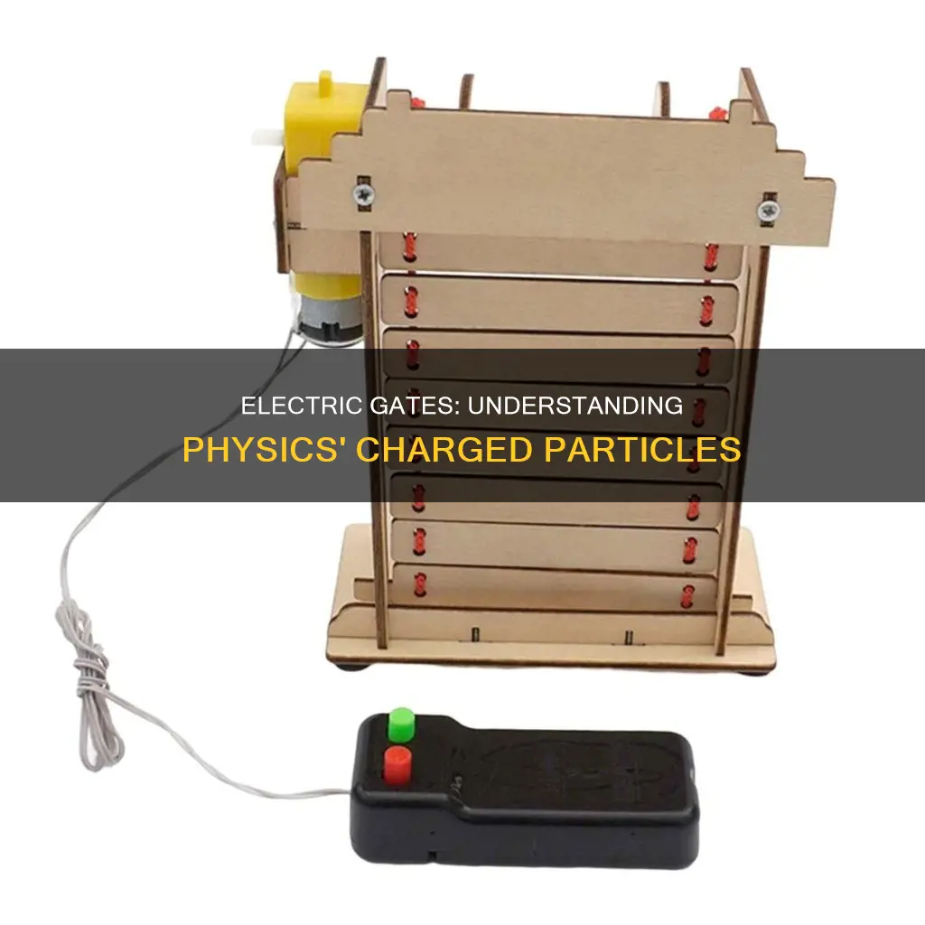what is an electric gate in physics