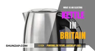 Electric Kettles: A British Household Essential