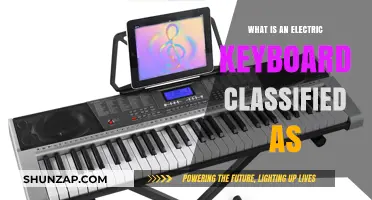 Electric Keyboard: A Musical Instrument Classification