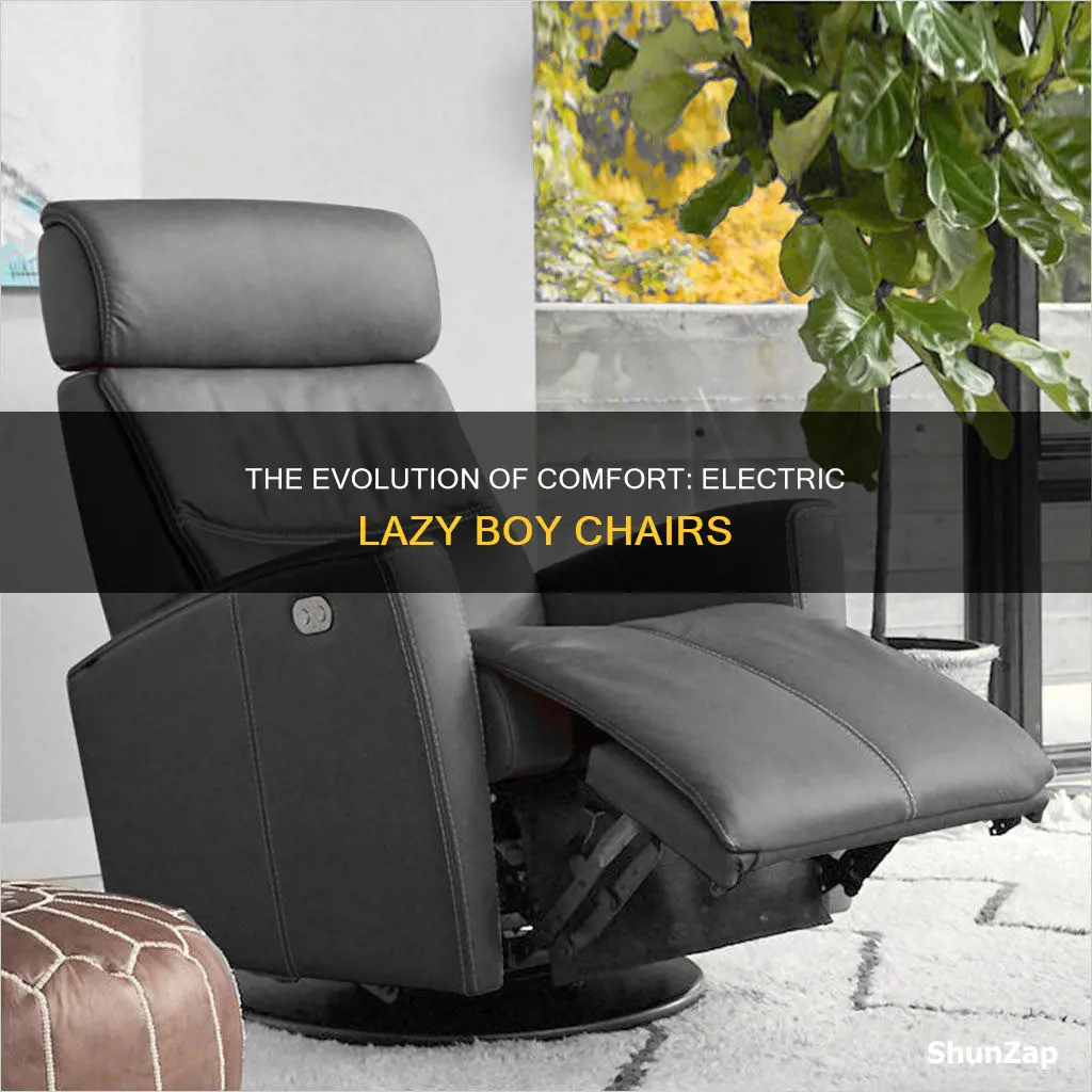 what is an electric lazy boy called