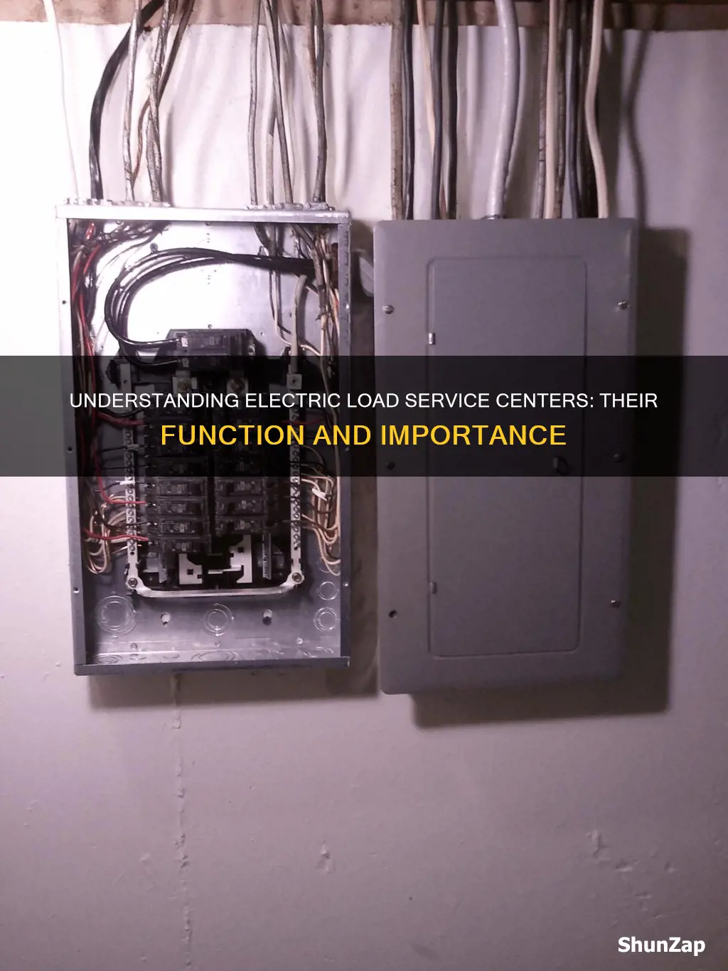 what is an electric load service center