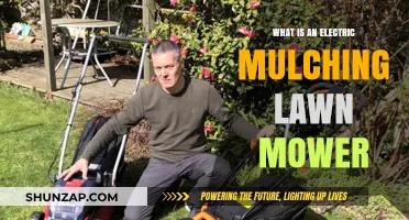 The Mulching Mower: Electric Lawn Care Revolution