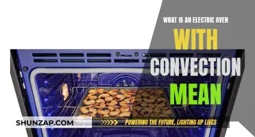 Convection and Electric Ovens: What's the Difference?