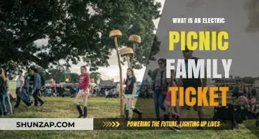 Electric Picnic Family Ticket: Who Qualifies and Benefits?