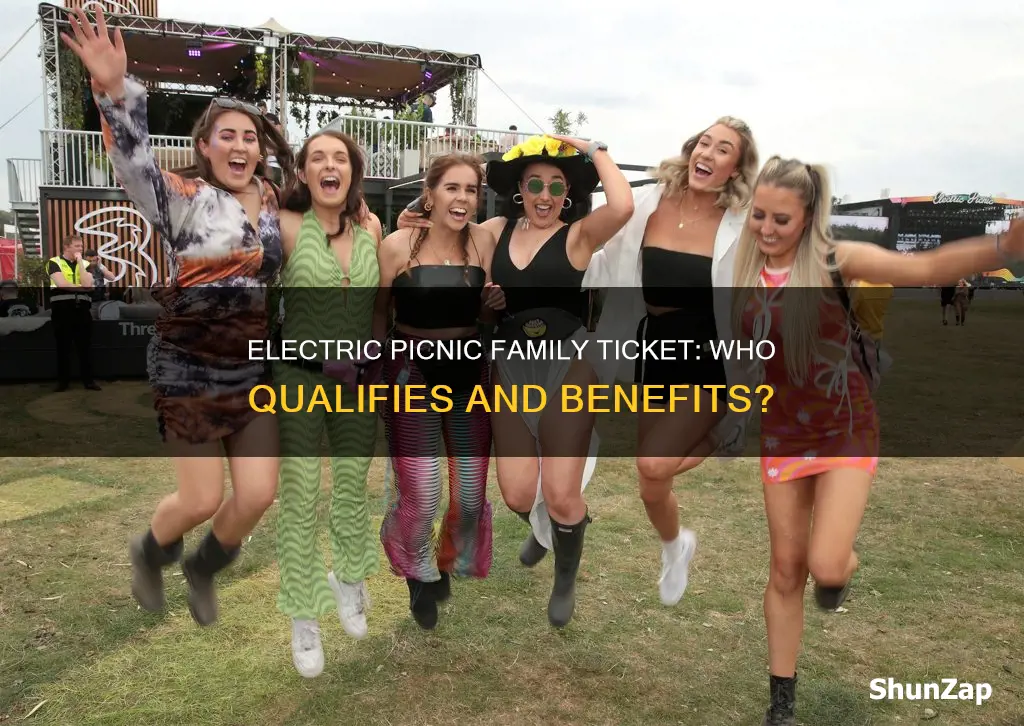 what is an electric picnic family ticket
