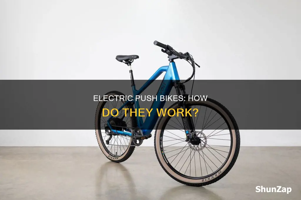 what is an electric push bike