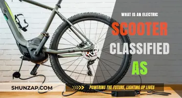 Scooter Classification: Electric Scooter's Legal Identity