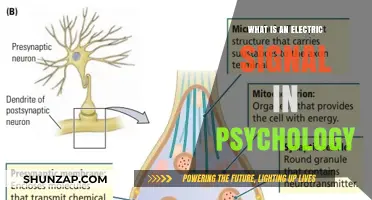 Electric Signals: Psychology's Unseen Communication