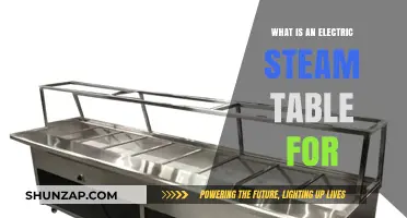 Steaming Ahead: Electric Steam Tables Explained