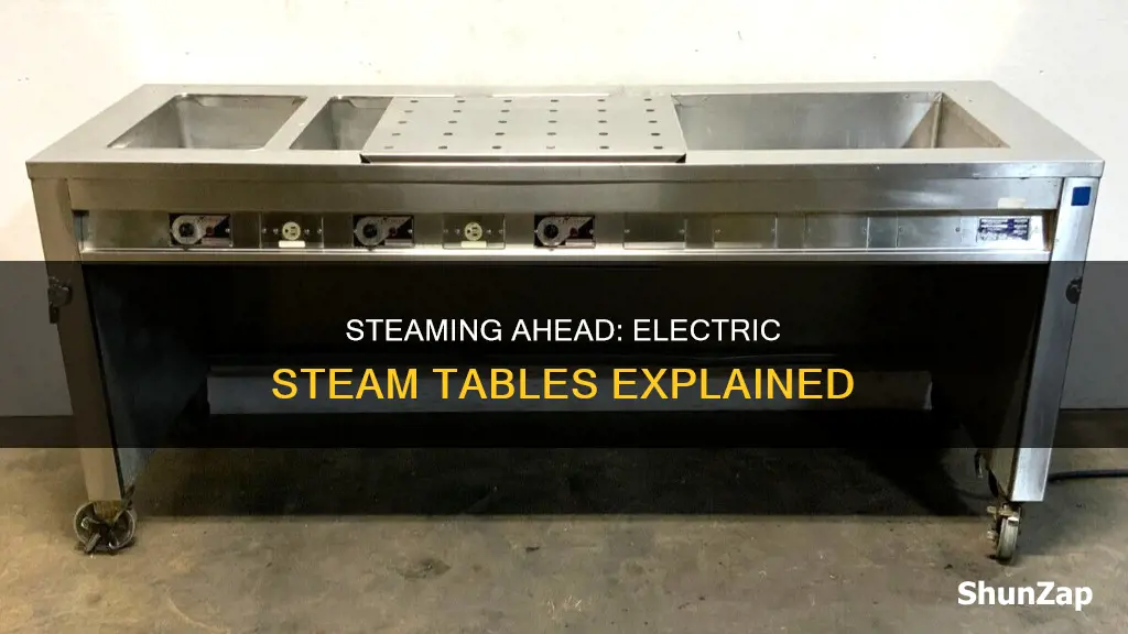 what is an electric steam table for