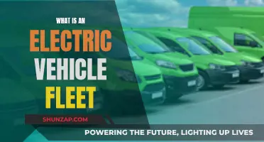 Powering the Future: Understanding Electric Vehicle Fleets