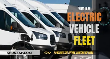 Electric Vehicle Fleets: The Future of Sustainable Transportation