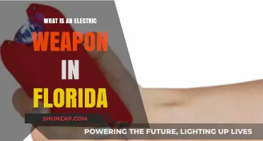 Electric Weapons: Florida's Stun Gun Laws