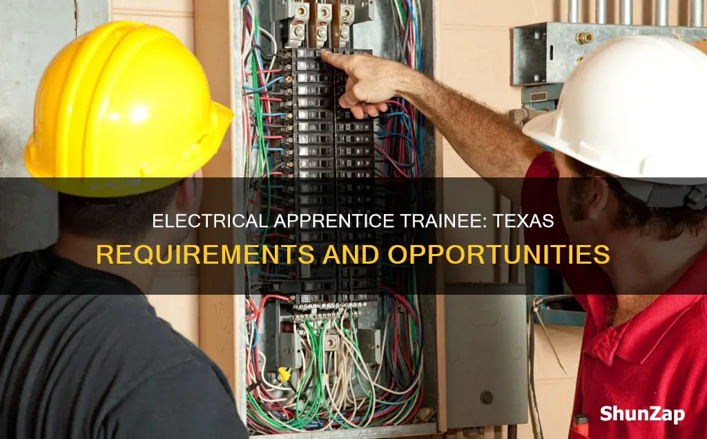what is an electrical apprentice trainee texas