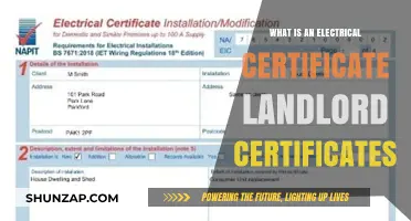 Electrical Safety: Landlord Certificates Explained