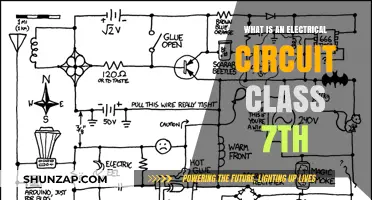 Electrical Circuit Basics for 7th Graders