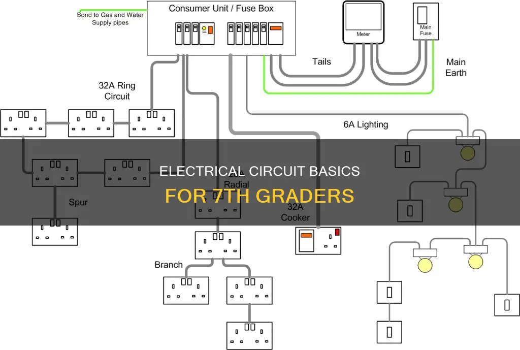 what is an electrical circuit class 7th