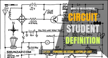 Understanding Electrical Circuits: Student's Guide