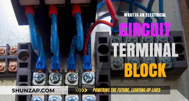 Understanding Terminal Blocks in Electrical Circuits