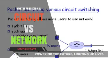 Circuit vs Network: Understanding Electrical Basics