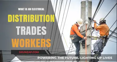Electrical Distribution Trades Workers: What You Need to Know