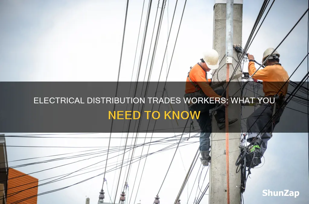 what is an electrical distribution trades workers