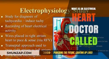 Specialists for Your Heart: Electrophysiologists