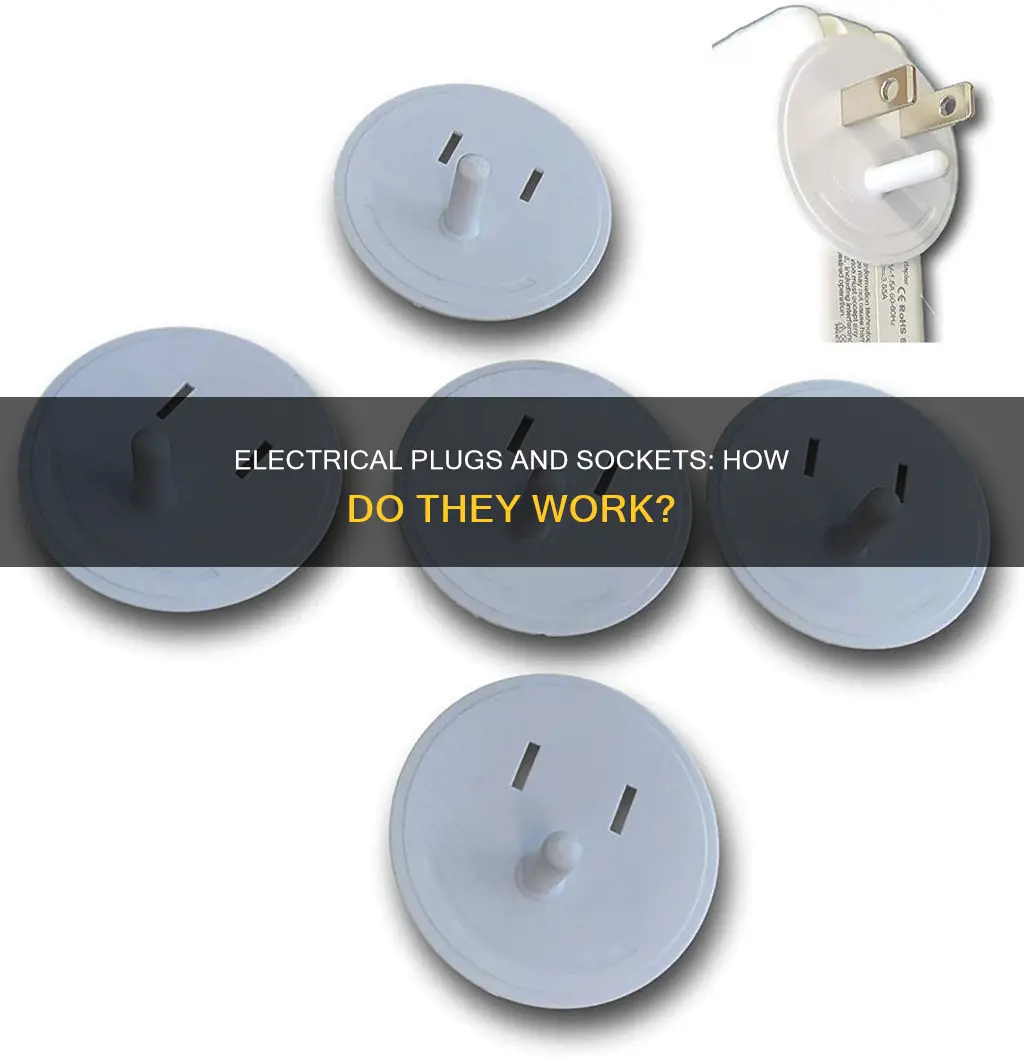 what is an electrical plug and socket