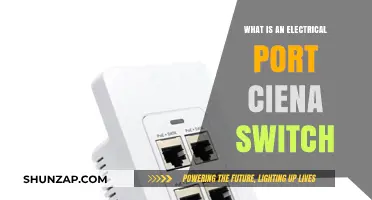 Electrical Ports: Ciena Switches Explained