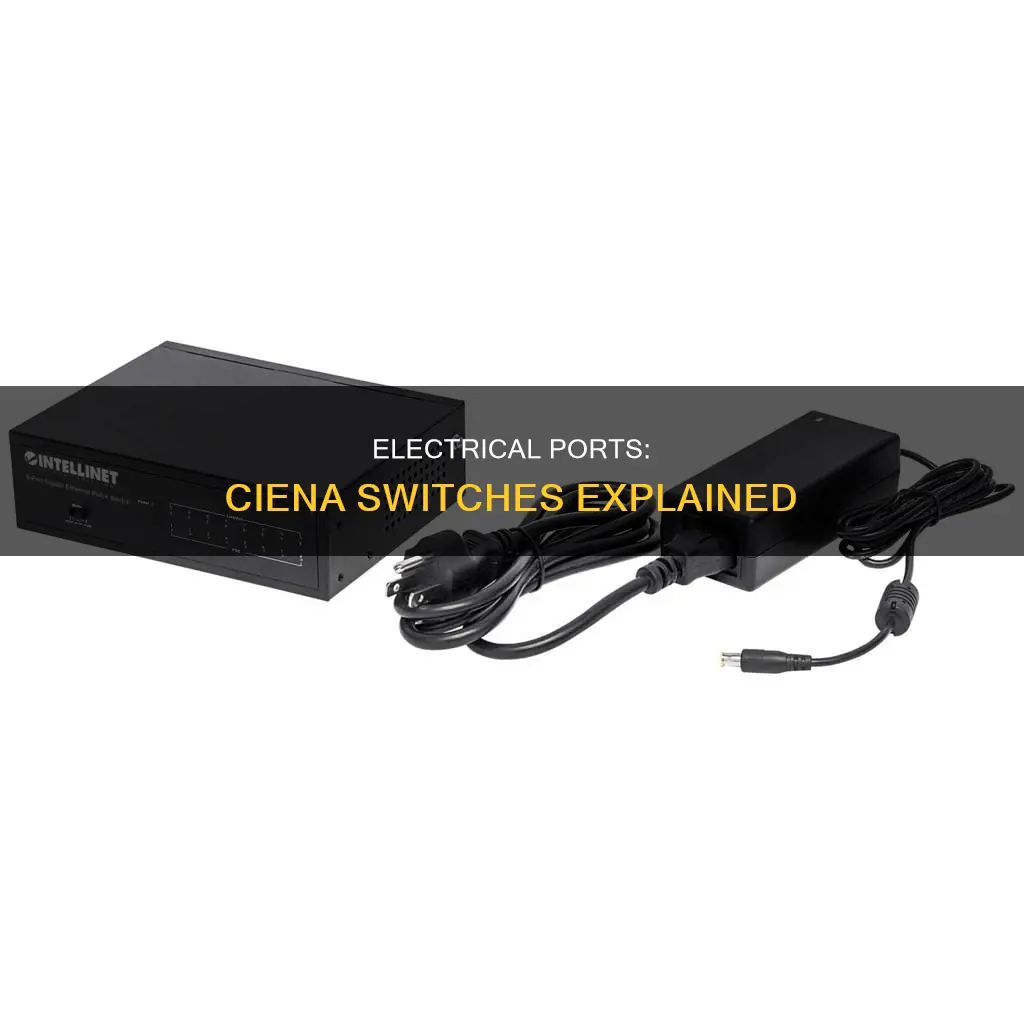 what is an electrical port ciena switch