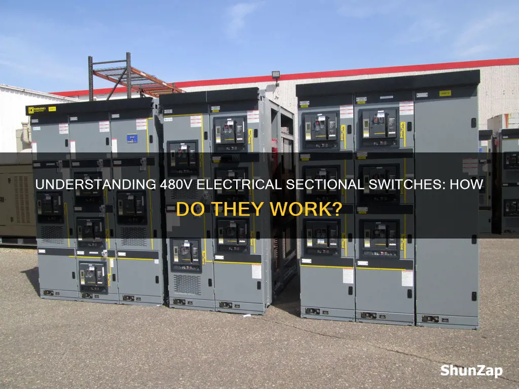 what is an electrical sectionl switch 480v