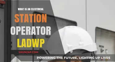 Electrical Station Operator: LADWP's Power Players
