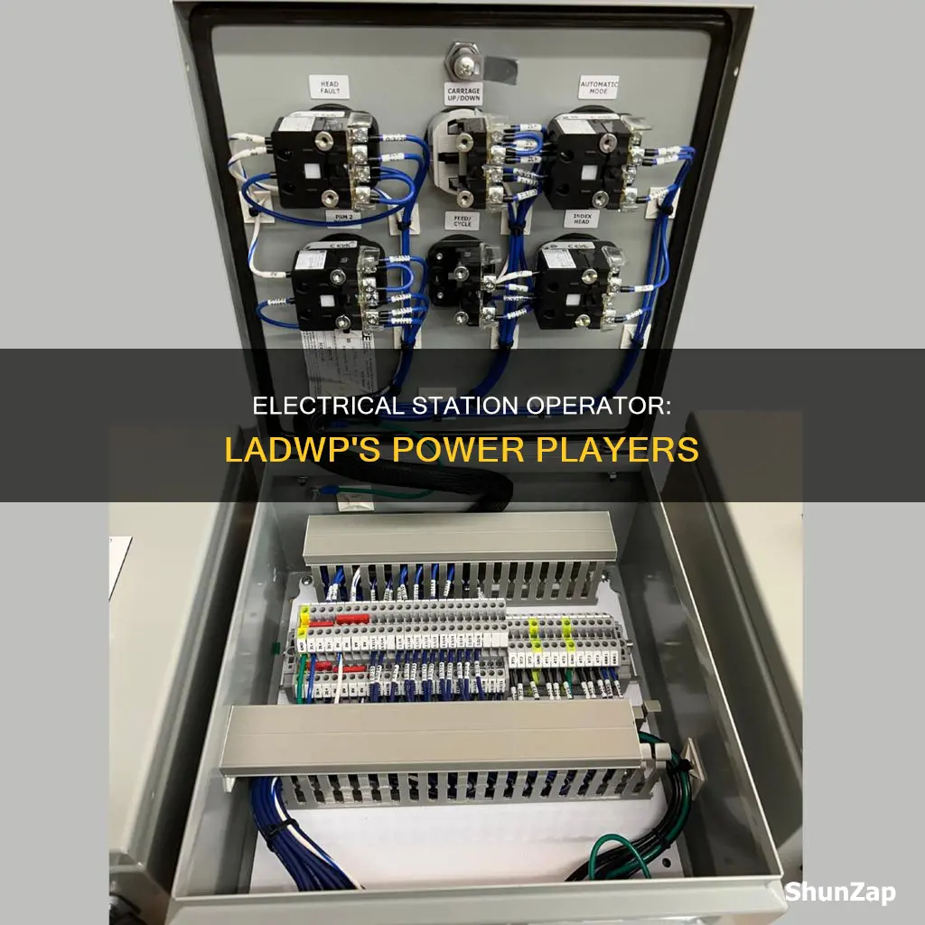 what is an electrical station operator ladwp