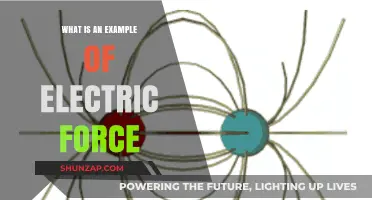 How Electric Force Works: Real-World Examples