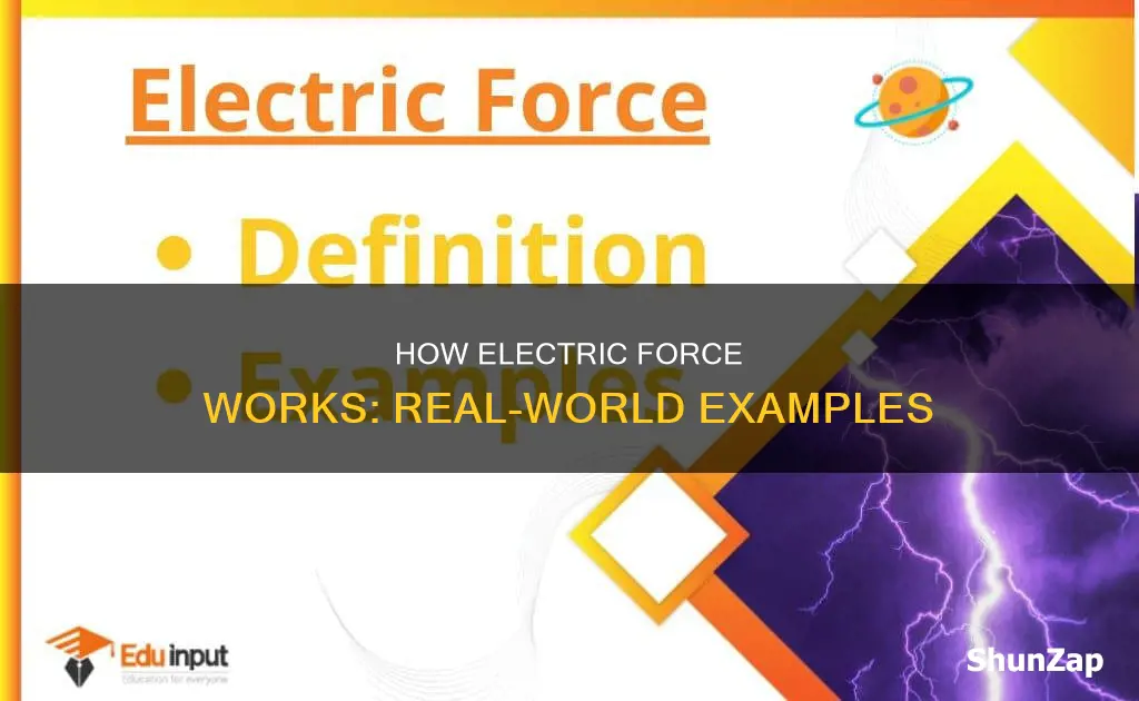 what is an example of electric force