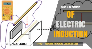 How Electric Induction Works: Everyday Examples