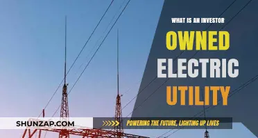 Electric Utilities: Investor-Owned, What Does It Mean?