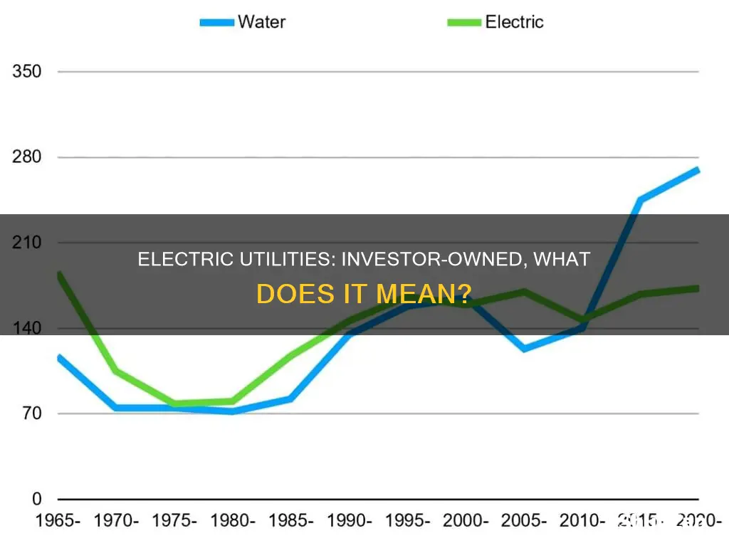 what is an investor owned electric utility