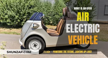 Unveiling the Future: Open-Air Electric Vehicles